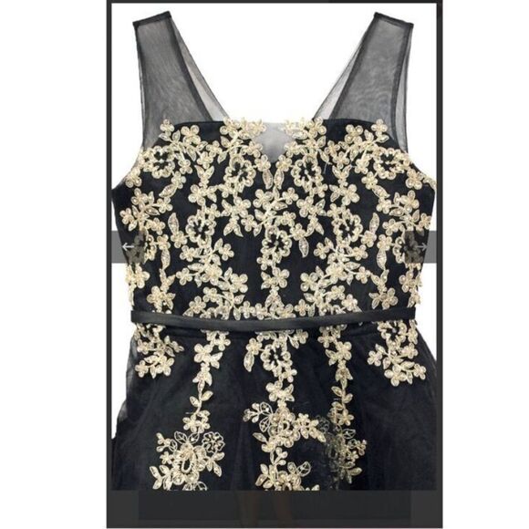 Tip Top Girls 12 Sleeveless Tulle Layer Formal Dress Gold Lace Applique Puffy - Picture 2 of 11